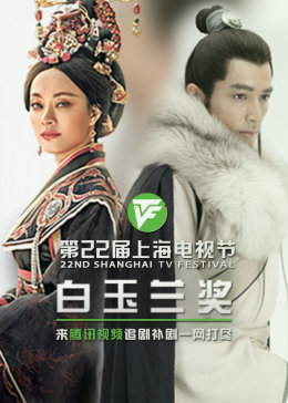 普陀seo优化选哪家