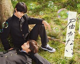 九幺SEO优化神器